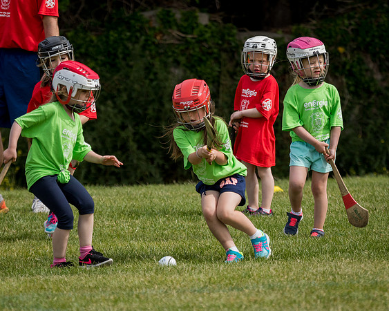 210-Cuala-Mini-all-Ireland-©-2018-John-Coveney
