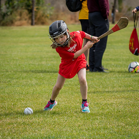 213-Cuala-Mini-all-Ireland-©-2018-John-Coveney