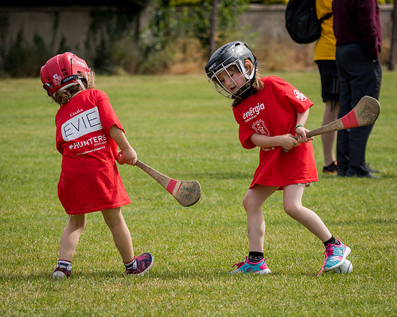 214-Cuala-Mini-all-Ireland-©-2018-John-Coveney