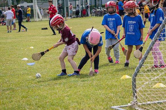 221-Cuala-Mini-all-Ireland-©-2018-John-Coveney