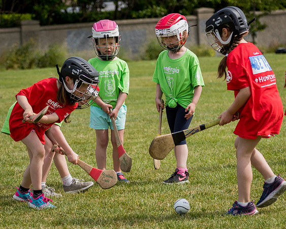 230-Cuala-Mini-all-Ireland-©-2018-John-Coveney