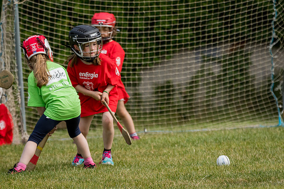239-Cuala-Mini-all-Ireland-©-2018-John-Coveney