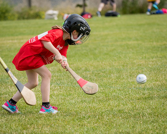 242-Cuala-Mini-all-Ireland-©-2018-John-Coveney