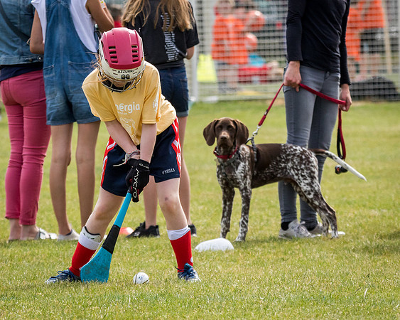 174-Cuala-Mini-all-Ireland-©-2018-John-Coveney