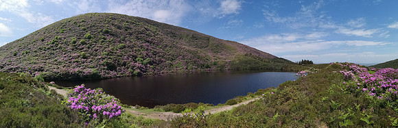 IMG_20180607_120115