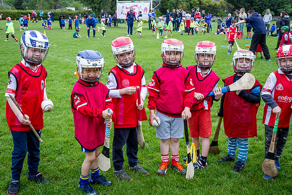 080-Cuala-Seniors-Academy-©-2019-John-Coveney