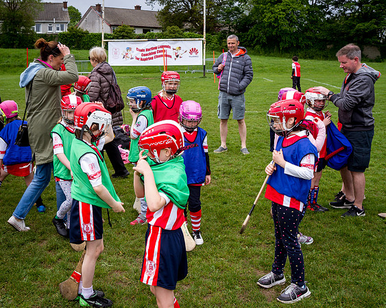 090-Cuala-Seniors-Academy-©-2019-John-Coveney