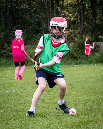 095-Cuala-Seniors-Academy-©-2019-John-Coveney
