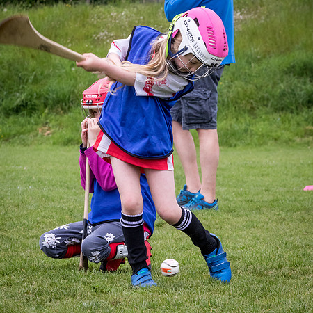 102-Cuala-Seniors-Academy-©-2019-John-Coveney