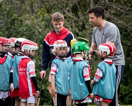 105-Cuala-Seniors-Academy-©-2019-John-Coveney