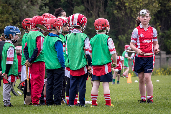 107-Cuala-Seniors-Academy-©-2019-John-Coveney