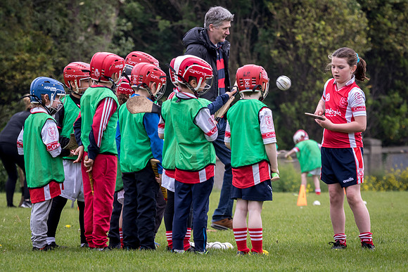 109-Cuala-Seniors-Academy-©-2019-John-Coveney