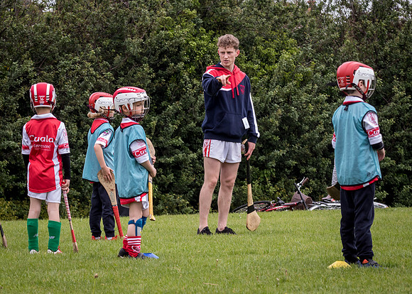 111-Cuala-Seniors-Academy-©-2019-John-Coveney