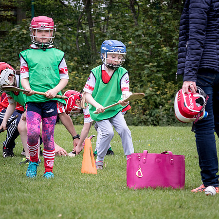 112-Cuala-Seniors-Academy-©-2019-John-Coveney