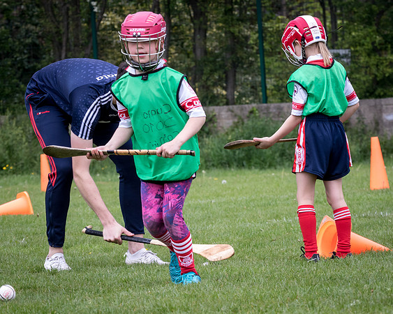 113-Cuala-Seniors-Academy-©-2019-John-Coveney