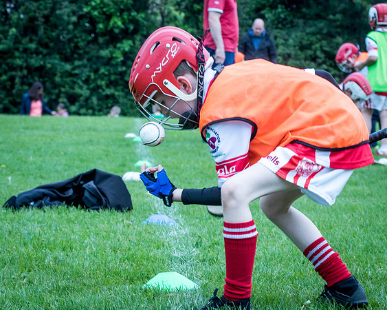 115-Cuala-Seniors-Academy-©-2019-John-Coveney