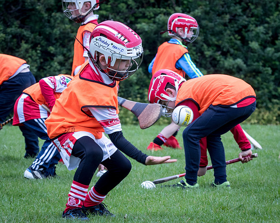 116-Cuala-Seniors-Academy-©-2019-John-Coveney