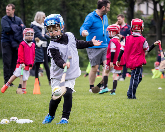 117-Cuala-Seniors-Academy-©-2019-John-Coveney