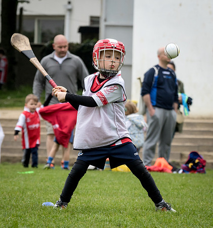 119-Cuala-Seniors-Academy-©-2019-John-Coveney