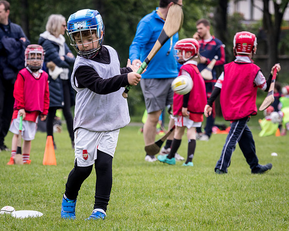 118-Cuala-Seniors-Academy-©-2019-John-Coveney