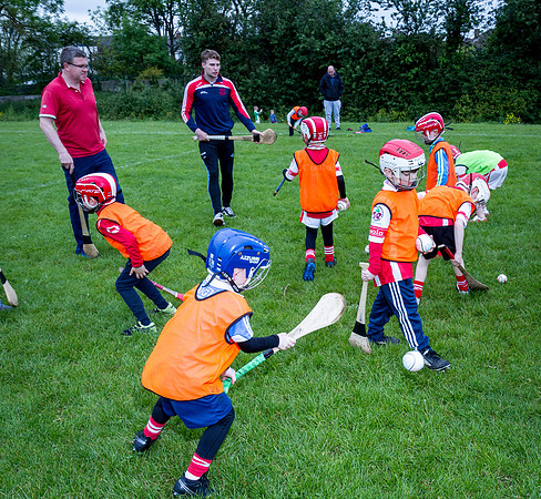 121-Cuala-Seniors-Academy-©-2019-John-Coveney