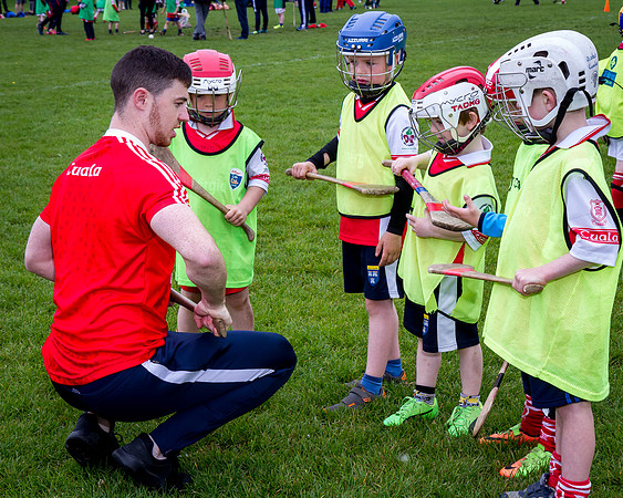 128-Cuala-Seniors-Academy-©-2019-John-Coveney