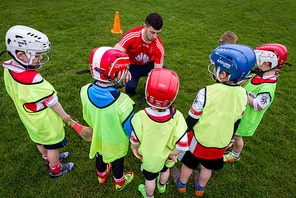 133-Cuala-Seniors-Academy-©-2019-John-Coveney