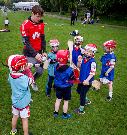 140-Cuala-Seniors-Academy-©-2019-John-Coveney