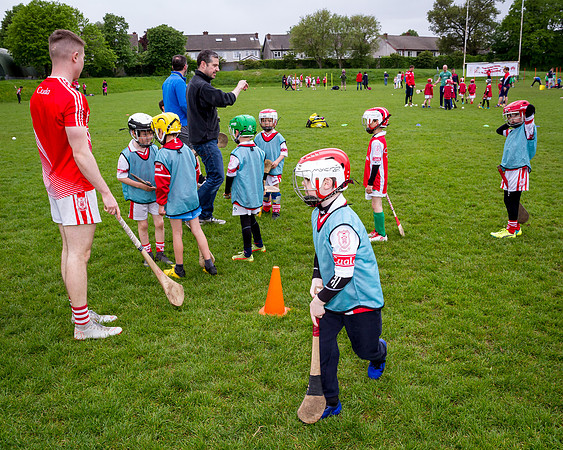 145-Cuala-Seniors-Academy-©-2019-John-Coveney