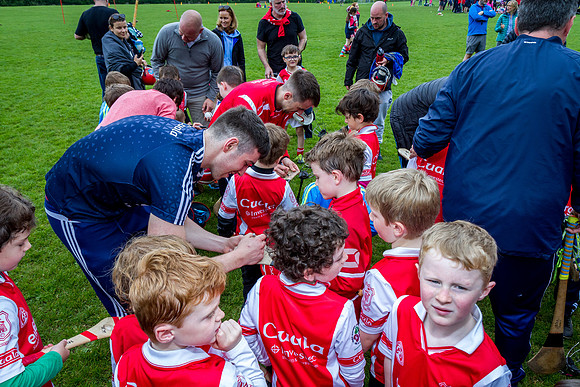 176-Cuala-Seniors-Academy-©-2019-John-Coveney