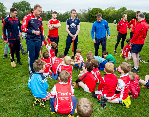 185-Cuala-Seniors-Academy-©-2019-John-Coveney