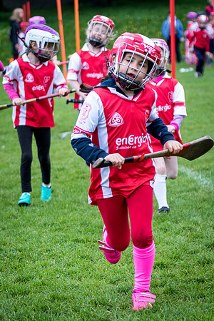 201-Cuala-Seniors-Academy-©-2019-John-Coveney
