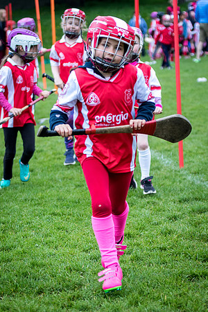 202-Cuala-Seniors-Academy-©-2019-John-Coveney