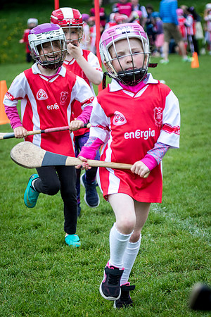 203-Cuala-Seniors-Academy-©-2019-John-Coveney