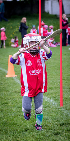 211-Cuala-Seniors-Academy-©-2019-John-Coveney