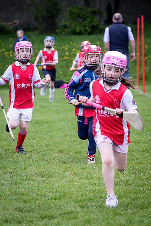 214-Cuala-Seniors-Academy-©-2019-John-Coveney