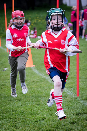 216-Cuala-Seniors-Academy-©-2019-John-Coveney