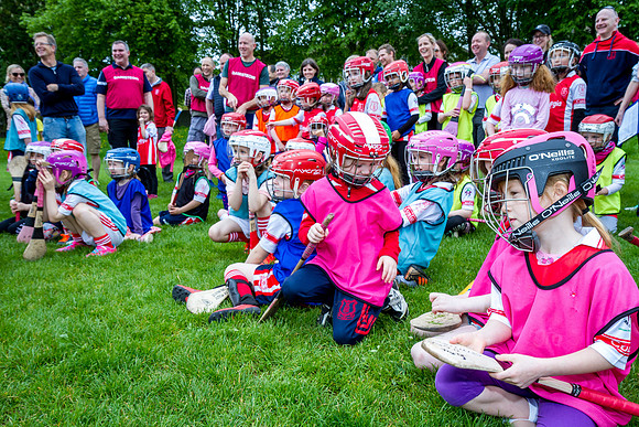 233-Cuala-Seniors-Academy-©-2019-John-Coveney