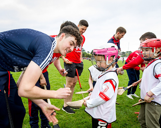 235-Cuala-Seniors-Academy-©-2019-John-Coveney