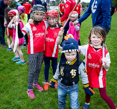 248-Cuala-Seniors-Academy-©-2019-John-Coveney