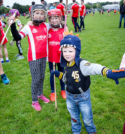 249-Cuala-Seniors-Academy-©-2019-John-Coveney