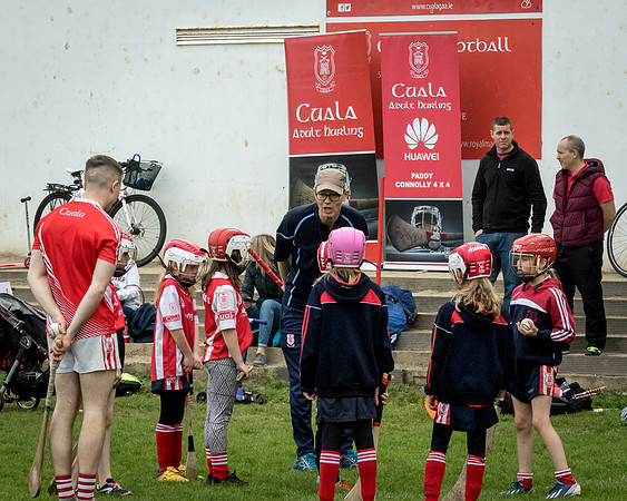 268-Cuala-Seniors-Academy-©-2019-John-Coveney