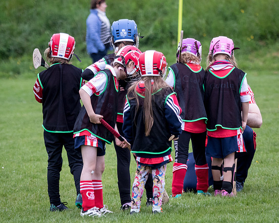 270-Cuala-Seniors-Academy-©-2019-John-Coveney