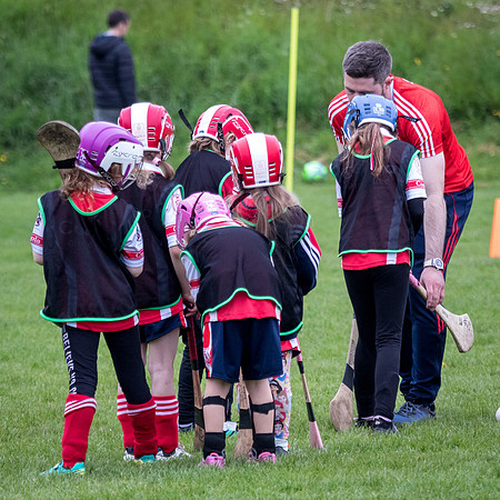 271-Cuala-Seniors-Academy-©-2019-John-Coveney