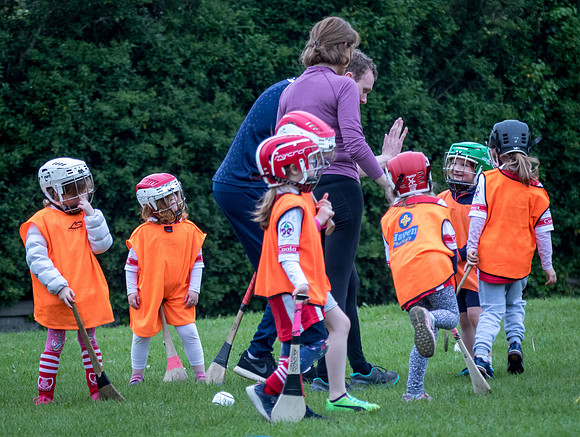 272-Cuala-Seniors-Academy-©-2019-John-Coveney