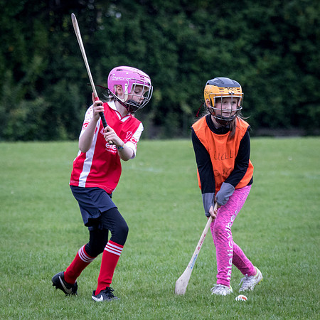 283-Cuala-Seniors-Academy-©-2019-John-Coveney