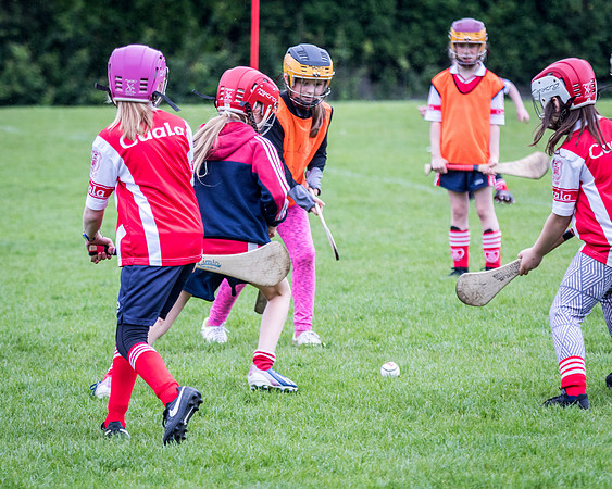 284-Cuala-Seniors-Academy-©-2019-John-Coveney