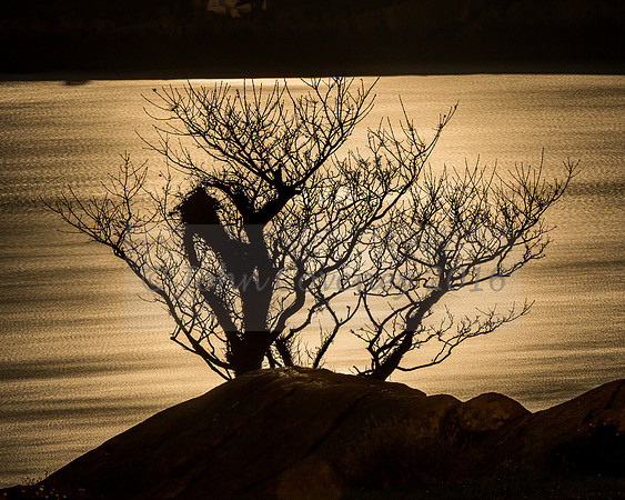 0009-Moonshots-by-John-Coveney-Photography