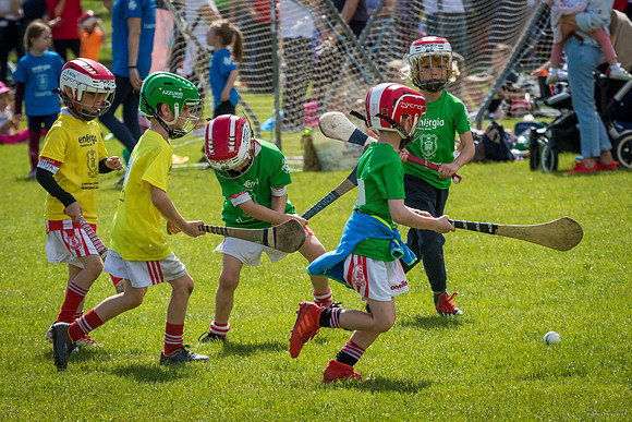 286-Cuala-Mini-All-Ireland-©-2019-John-Coveney