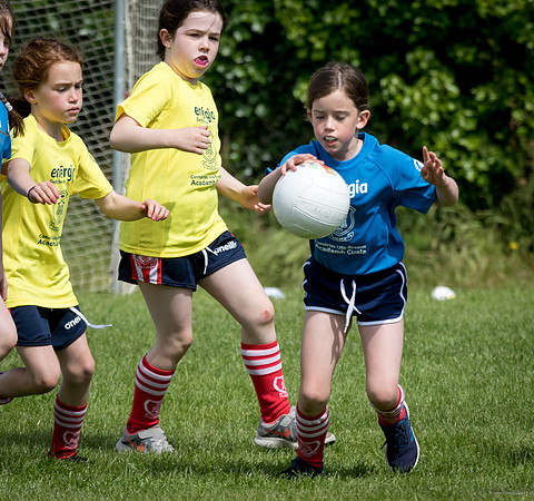 301-Cuala-Mini-All-Ireland-©-2019-John-Coveney